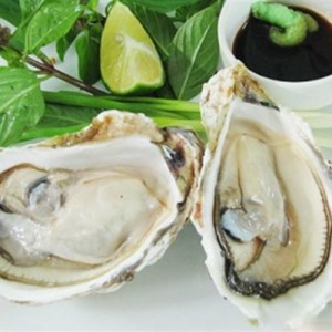 Hào 2 cồi