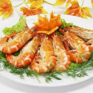 mực chiên xù sốt wasabi ăn một miếng là mê mẩn ngay
