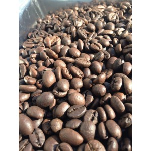M- Robusta 18