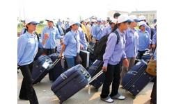 Thu hồi giấy phép nhiều doanh nghiệp xuất khẩu lao động