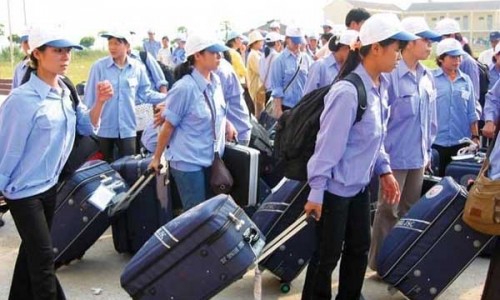 Thu hồi giấy phép nhiều doanh nghiệp xuất khẩu lao động