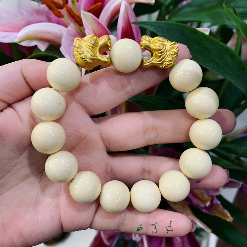 Song hổ tướng