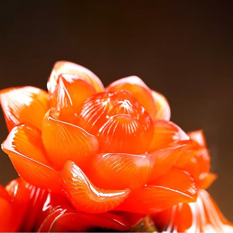 Cóc chầu sen ngọc