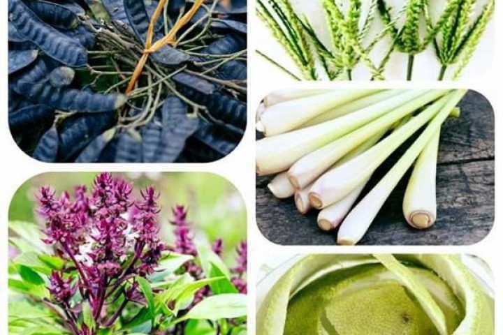 Bật mí cách chữa rụng tóc tại nhà hiệu quả, an toàn tuyệt đối