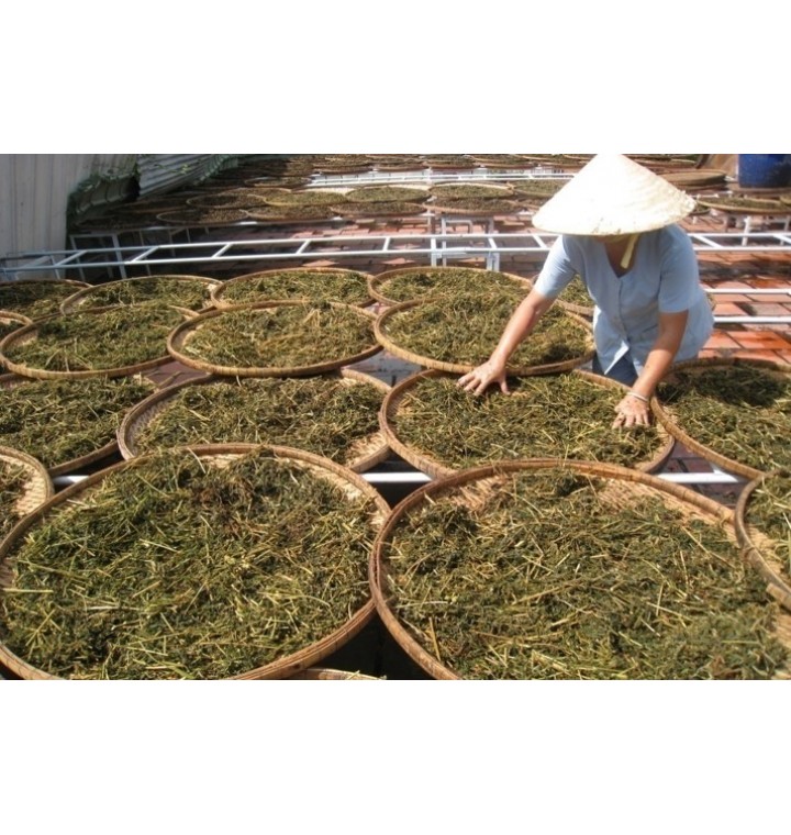 Sản phẩm dược liệu demo 9