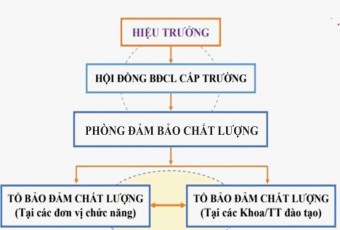 Sơ đồ hội đồng đảm bảo chất lượng