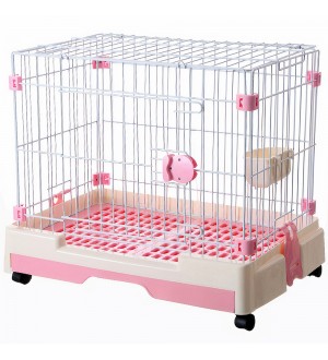 Chuồng chó mèo bằng sắt sàn nhựa AUPET Dog Cage